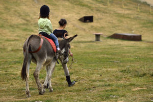 Ballade en Poney à Payolle
